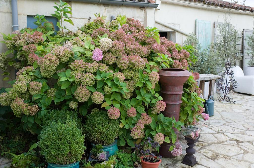 Maison D'Alienor Taillebourg  Exterior foto